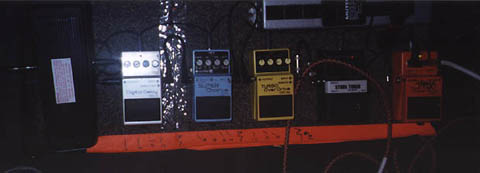 Tanya's Boss pedals
